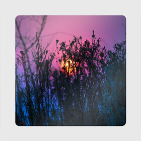 Магнит виниловый Квадрат с принтом Трава растения закатный свет в Екатеринбурге, полимерный материал с магнитным слоем | размер 9*9 см, закругленные углы | Тематика изображения на принте: вечер | закат | мило | небо | поле | рассвет | растения | свет | сумерки | сухоцвет
