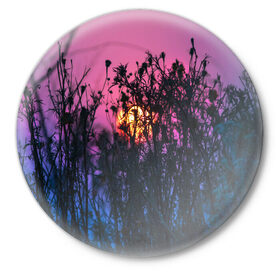 Значок с принтом Трава растения закатный свет в Екатеринбурге,  металл | круглая форма, металлическая застежка в виде булавки | вечер | закат | мило | небо | поле | рассвет | растения | свет | сумерки | сухоцвет