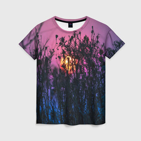 Женская футболка 3D с принтом Трава растения закатный свет в Екатеринбурге, 100% полиэфир ( синтетическое хлопкоподобное полотно) | прямой крой, круглый вырез горловины, длина до линии бедер | вечер | закат | мило | небо | поле | рассвет | растения | свет | сумерки | сухоцвет