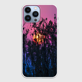 Чехол для iPhone 13 Pro Max с принтом Трава растения закатный свет в Екатеринбурге,  |  | вечер | закат | мило | небо | поле | рассвет | растения | свет | сумерки | сухоцвет