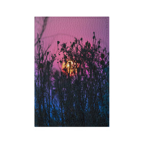 Обложка для паспорта матовая кожа с принтом Трава растения закатный свет в Екатеринбурге, натуральная матовая кожа | размер 19,3 х 13,7 см; прозрачные пластиковые крепления | Тематика изображения на принте: вечер | закат | мило | небо | поле | рассвет | растения | свет | сумерки | сухоцвет