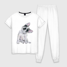 Женская пижама хлопок с принтом бульдог в Екатеринбурге, 100% хлопок | брюки и футболка прямого кроя, без карманов, на брюках мягкая резинка на поясе и по низу штанин | бульдог | животные | песокафе | рисунок | собаки
