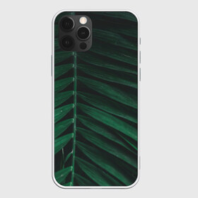 Чехол для iPhone 12 Pro Max с принтом Ветка палмы в Екатеринбурге, Силикон |  | ветка | листья | нуар | пальма | папоротник | природа | экзотика