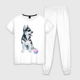 Женская пижама хлопок с принтом Хаски в Екатеринбурге, 100% хлопок | брюки и футболка прямого кроя, без карманов, на брюках мягкая резинка на поясе и по низу штанин | животные | песокафе | рисунок | собаки | хаски