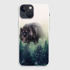 Чехол для iPhone 13 mini с принтом Волк в Екатеринбурге,  |  | Тематика изображения на принте: альфа | амега | волк | волчонок | дым | зверь | зелёная | зима | красивая | лайка | лес | лесс | омега | пёс | подарок | прикольная | сибирь | сказка | собака | сосны | тайга | фильм | хаски | щенок