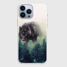 Чехол для iPhone 13 Pro Max с принтом Волк в Екатеринбурге,  |  | Тематика изображения на принте: альфа | амега | волк | волчонок | дым | зверь | зелёная | зима | красивая | лайка | лес | лесс | омега | пёс | подарок | прикольная | сибирь | сказка | собака | сосны | тайга | фильм | хаски | щенок
