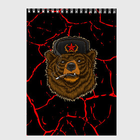 Скетчбук с принтом Медведь СССР в Екатеринбурге, 100% бумага
 | 48 листов, плотность листов — 100 г/м2, плотность картонной обложки — 250 г/м2. Листы скреплены сверху удобной пружинной спиралью | bear | bears | cosmo | gagarin | stalin | ussr | гагарин | герой | коммунизм | комунизм | космос | красная | ленин | медведи | медведь | медвежонок | молот | отечественная | первый космонавт | серп | серп и молот | союз