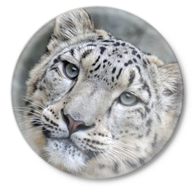 Значок с принтом Ирбис в Екатеринбурге,  металл | круглая форма, металлическая застежка в виде булавки | snow leopard | барс | барсы | животное | животные | звери | зверь | зима | зимы | ирбис | киски | кот | коты | кошачьи | кошка | кошки | мохнатые | мохнатый | пятнистые | пятнистый | снег | снежный