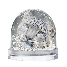Снежный шар с принтом Ирбис в Екатеринбурге, Пластик | Изображение внутри шара печатается на глянцевой фотобумаге с двух сторон | snow leopard | барс | барсы | животное | животные | звери | зверь | зима | зимы | ирбис | киски | кот | коты | кошачьи | кошка | кошки | мохнатые | мохнатый | пятнистые | пятнистый | снег | снежный