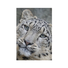 Обложка для паспорта матовая кожа с принтом Ирбис в Екатеринбурге, натуральная матовая кожа | размер 19,3 х 13,7 см; прозрачные пластиковые крепления | Тематика изображения на принте: snow leopard | барс | барсы | животное | животные | звери | зверь | зима | зимы | ирбис | киски | кот | коты | кошачьи | кошка | кошки | мохнатые | мохнатый | пятнистые | пятнистый | снег | снежный