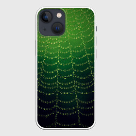 Чехол для iPhone 13 mini с принтом Паутина в лесу в Екатеринбурге,  |  | Тематика изображения на принте: бусины | зеленый | капли | капли воды | лестница | паутина | раса