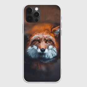 Чехол для iPhone 12 Pro Max с принтом Лиса в Екатеринбурге, Силикон |  | волк | енот | енотик | зверь | зоопарк | колобок | лес | лис | лиса | лисёнок | лисица | лисы | мультик | пёс | писец | сибирь | сказка | собака | тайга