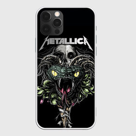 Чехол для iPhone 12 Pro Max с принтом Metallica в Екатеринбурге, Силикон |  | album | black | concert | heavy | kirk | metal | metallica | music | rock | tolls | джеймс хэтфилд | кирк хэмметт | клифф бёртон | ларс ульрих | метал | металлика | трэш