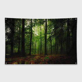 Флаг-баннер с принтом Лес в Екатеринбурге, 100% полиэстер | размер 67 х 109 см, плотность ткани — 95 г/м2; по краям флага есть четыре люверса для крепления | деревья | земля . | лес | листья | лучи