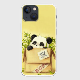 Чехол для iPhone 13 mini с принтом Заказывали Панду в Екатеринбурге,  |  | order | panda | заказ | заказывали панду | панда | панда в коробке