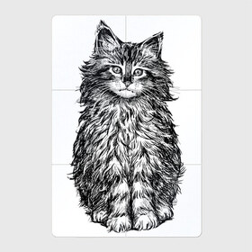 Магнитный плакат 2Х3 с принтом Пушистый котенок в Екатеринбурге, Полимерный материал с магнитным слоем | 6 деталей размером 9*9 см | Тематика изображения на принте: белый котенок | кот | котенок | коты | котята | кошечка | кошка | кошки | милые котята | милый котенок | няшки | пушистый котенок