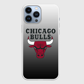 Чехол для iPhone 13 Pro Max с принтом JORDAN   CHICAGO BULLS в Екатеринбурге,  |  | Тематика изображения на принте: basketball | jordan | michael | michael jordan | баскетбол | джордан | майкл | стиль