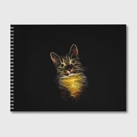 Альбом для рисования с принтом Дымчато-световой кот в Екатеринбурге, 100% бумага
 | матовая бумага, плотность 200 мг. | арт | дым | желтый | кот | кошка | кривые | рисунок | свет | серый | тёмный | чёрный | яркие линии