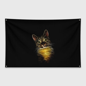 Флаг-баннер с принтом Дымчато-световой кот в Екатеринбурге, 100% полиэстер | размер 67 х 109 см, плотность ткани — 95 г/м2; по краям флага есть четыре люверса для крепления | арт | дым | желтый | кот | кошка | кривые | рисунок | свет | серый | тёмный | чёрный | яркие линии