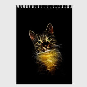 Скетчбук с принтом Дымчато-световой кот в Екатеринбурге, 100% бумага
 | 48 листов, плотность листов — 100 г/м2, плотность картонной обложки — 250 г/м2. Листы скреплены сверху удобной пружинной спиралью | арт | дым | желтый | кот | кошка | кривые | рисунок | свет | серый | тёмный | чёрный | яркие линии