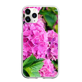 Чехол для iPhone 11 Pro Max матовый с принтом Гортензия в Екатеринбурге, Силикон |  | blooming. | floral | flower | hydrangea | nature | ботаника | букет | бутон | гортензия | клумба | лепесток | лето | листья | сад | цветение | цветок | цветы