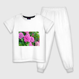 Детская пижама хлопок с принтом Гортензия в Екатеринбурге, 100% хлопок |  брюки и футболка прямого кроя, без карманов, на брюках мягкая резинка на поясе и по низу штанин
 | Тематика изображения на принте: blooming. | floral | flower | hydrangea | nature | ботаника | букет | бутон | гортензия | клумба | лепесток | лето | листья | сад | цветение | цветок | цветы