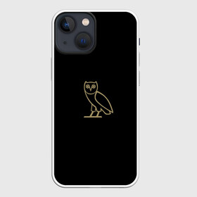 Чехол для iPhone 13 mini с принтом Сова в Екатеринбурге,  |  | арт | вектор | коричневый | рисунок | сова | чёрный