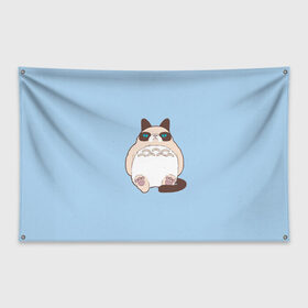 Флаг-баннер с принтом Тоторный кот в Екатеринбурге, 100% полиэстер | размер 67 х 109 см, плотность ткани — 95 г/м2; по краям флага есть четыре люверса для крепления | grumpy cat | белый | кот тоторо | кот. недовольный кот | крем | мило | милота | мимишка | тоторо