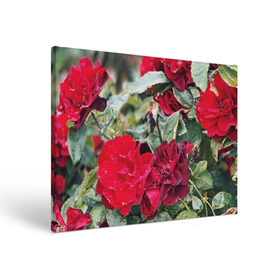 Холст прямоугольный с принтом Red Roses в Екатеринбурге, 100% ПВХ |  | bush | floral | flower | garden | green | nature | red roses | бутоны | красная роза | куст | листья | природа | роза | сад | цветение | цветок | цветы