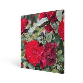 Холст квадратный с принтом Red Roses в Екатеринбурге, 100% ПВХ |  | bush | floral | flower | garden | green | nature | red roses | бутоны | красная роза | куст | листья | природа | роза | сад | цветение | цветок | цветы