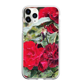 Чехол для iPhone 11 Pro матовый с принтом Red Roses в Екатеринбурге, Силикон |  | Тематика изображения на принте: bush | floral | flower | garden | green | nature | red roses | бутоны | красная роза | куст | листья | природа | роза | сад | цветение | цветок | цветы