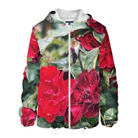 Мужская куртка 3D с принтом Red Roses в Екатеринбурге, ткань верха — 100% полиэстер, подклад — флис | прямой крой, подол и капюшон оформлены резинкой с фиксаторами, два кармана без застежек по бокам, один большой потайной карман на груди. Карман на груди застегивается на липучку | Тематика изображения на принте: bush | floral | flower | garden | green | nature | red roses | бутоны | красная роза | куст | листья | природа | роза | сад | цветение | цветок | цветы
