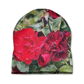 Шапка 3D с принтом Red Roses в Екатеринбурге, 100% полиэстер | универсальный размер, печать по всей поверхности изделия | bush | floral | flower | garden | green | nature | red roses | бутоны | красная роза | куст | листья | природа | роза | сад | цветение | цветок | цветы