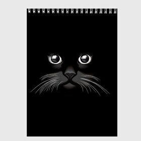 Скетчбук с принтом Кошачья моська в Екатеринбурге, 100% бумага
 | 48 листов, плотность листов — 100 г/м2, плотность картонной обложки — 250 г/м2. Листы скреплены сверху удобной пружинной спиралью | Тематика изображения на принте: арт | вектор | кот | котёнок | кошка | рисунок | черная кошка | чёрный | черный кот | черный котенок