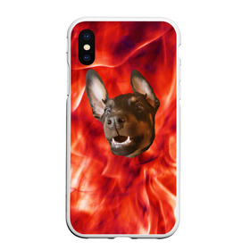 Чехол для iPhone XS Max матовый с принтом Огненый Пес в Екатеринбурге, Силикон | Область печати: задняя сторона чехла, без боковых панелей | голова | горячий | горящий | доберман | животное | зверек | зверь | зубы | клык | красный | лицо | овчарка | огонь | пес | пламя | рот | ротвейлер | свет | собака | удивленный | улыбка | щенок
