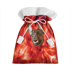 Подарочный 3D мешок с принтом Огненый Пес в Екатеринбурге, 100% полиэстер | Размер: 29*39 см | голова | горячий | горящий | доберман | животное | зверек | зверь | зубы | клык | красный | лицо | овчарка | огонь | пес | пламя | рот | ротвейлер | свет | собака | удивленный | улыбка | щенок