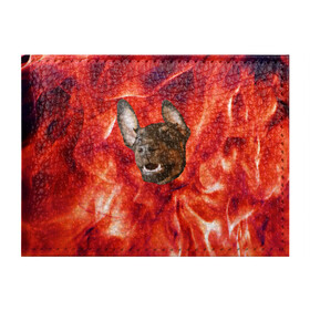 Обложка для студенческого билета с принтом Огненый Пес в Екатеринбурге, натуральная кожа | Размер: 11*8 см; Печать на всей внешней стороне | Тематика изображения на принте: голова | горячий | горящий | доберман | животное | зверек | зверь | зубы | клык | красный | лицо | овчарка | огонь | пес | пламя | рот | ротвейлер | свет | собака | удивленный | улыбка | щенок