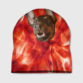Шапка 3D с принтом Огненый Пес в Екатеринбурге, 100% полиэстер | универсальный размер, печать по всей поверхности изделия | голова | горячий | горящий | доберман | животное | зверек | зверь | зубы | клык | красный | лицо | овчарка | огонь | пес | пламя | рот | ротвейлер | свет | собака | удивленный | улыбка | щенок