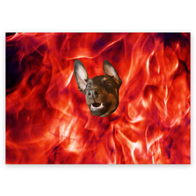 Поздравительная открытка с принтом Огненый Пес в Екатеринбурге, 100% бумага | плотность бумаги 280 г/м2, матовая, на обратной стороне линовка и место для марки
 | голова | горячий | горящий | доберман | животное | зверек | зверь | зубы | клык | красный | лицо | овчарка | огонь | пес | пламя | рот | ротвейлер | свет | собака | удивленный | улыбка | щенок