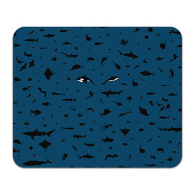 Коврик для мышки прямоугольный с принтом Fish в Екатеринбурге, натуральный каучук | размер 230 х 185 мм; запечатка лицевой стороны | dolphin | fish | killer whale | see life | shark | акула | дельфин | касатка | морские обитатели | рыба