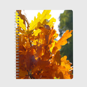 Тетрадь с принтом Букет из осенних листьев в Екатеринбурге, 100% бумага | 48 листов, плотность листов — 60 г/м2, плотность картонной обложки — 250 г/м2. Листы скреплены сбоку удобной пружинной спиралью. Уголки страниц и обложки скругленные. Цвет линий — светло-серый
 | бабье лето | золотая осень | листья желтые | листья осенние | сентябрь | третье сентября