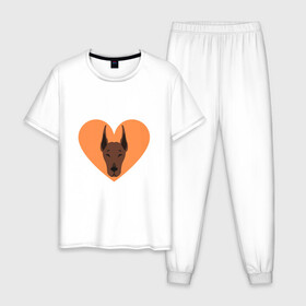 Мужская пижама хлопок с принтом Сердечный Доберман в Екатеринбурге, 100% хлопок | брюки и футболка прямого кроя, без карманов, на брюках мягкая резинка на поясе и по низу штанин
 | доберман | животное | клыки | коричневый | красный | лапы | любовь | оранжевый | пес | питомец | подарок | сердце | собака | улыбка | шерсть | щенок