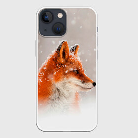 Чехол для iPhone 13 mini с принтом Лиса и снег в Екатеринбурге,  |  | fox | foxy | животные | звери | зима | зимняя | лиса | лисичка | лисы | природа | снег | снежная