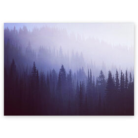 Поздравительная открытка с принтом Лес в Екатеринбурге, 100% бумага | плотность бумаги 280 г/м2, матовая, на обратной стороне линовка и место для марки
 | Тематика изображения на принте: siberia | trees | wood | деревья | ели | ёлки | ель | зеленый лес | лес | лес в тумане | лес мой храм | леса | ночной лес | ночь | ночь в лесу | природа | сибирский лес | сибирь | таежные леса | таёжный лес | тайга