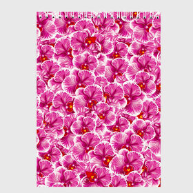 Скетчбук с принтом Розовые орхидеи в Екатеринбурге, 100% бумага
 | 48 листов, плотность листов — 100 г/м2, плотность картонной обложки — 250 г/м2. Листы скреплены сверху удобной пружинной спиралью | fashion flowers | pink | tropical | азия | бабочки | бразилия | букет | бутоны | джунгли | лепестки | лето | любимая | марта | нежные | орхидея | подарок | природа | растения | тропики | тропические | узор | цветение