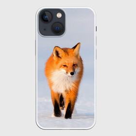 Чехол для iPhone 13 mini с принтом FOX AND SNOW в Екатеринбурге,  |  | fox | foxy | животные | звери | зима | зимняя | лиса | лисичка | лисы | природа | снег | снежная