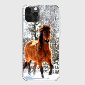 Чехол для iPhone 12 Pro Max с принтом Конь и снег в Екатеринбурге, Силикон |  | животные | звери | зима | кони | конь | коняшка | лошади | лошадка | лошадь | пони | природа | снег