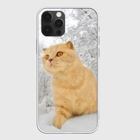 Чехол для iPhone 12 Pro Max с принтом Кот и снег в Екатеринбурге, Силикон |  | cat | животные | звири | кис | киска | кот | котейка | котик | коты | котяра | кошка | кошки | природа