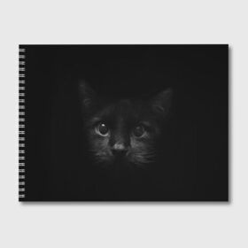 Альбом для рисования с принтом черный кот в Екатеринбурге, 100% бумага
 | матовая бумага, плотность 200 мг. | животные | зайка | заяц | звери | зевающий кот | кися | кот | котенок | котики | коты | кричащий кот | кролик | минимализм | питомцы | прикольные картинки