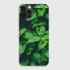 Чехол для iPhone 12 Pro Max с принтом Мята в Екатеринбурге, Силикон |  | abstract | brand | geometry | sport | texture | абстракция | бренд | геометрия | классика | летние | минимализм | модные | мята | популярные иллюстрации | прикольные картинки | спорт | стиль | стильные | текстура